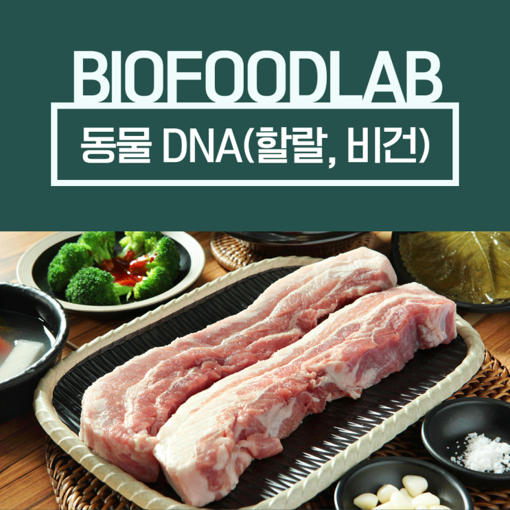 동물성 DNA 검사 1탄) 검사가 필요한 5가지 이유