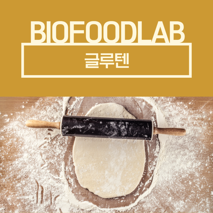 무 글루텐 표시, 아무나 할 수 없어요! 법적 기준과 글루텐 검사 방법 총정리
